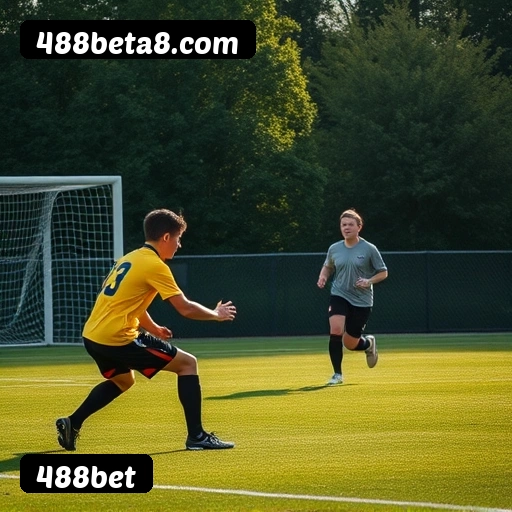 Níveis do programa VIP da 488bet